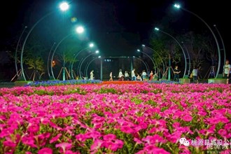 桃源又一座街心绿地建设完工!